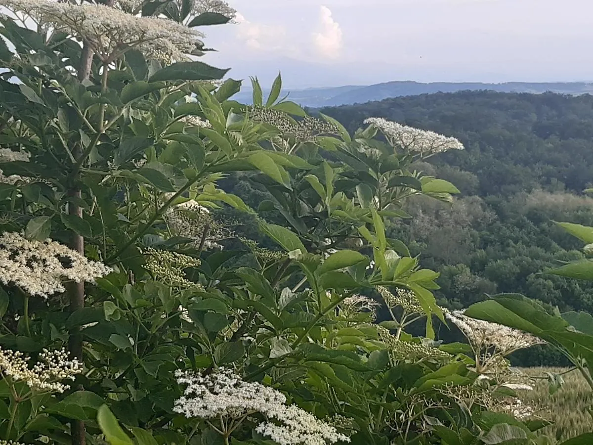アパート アルティガFerme Beauregard Les Pyreneesアパートメント